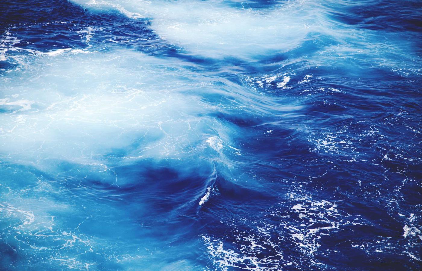 Portretul Directorului Tehnic