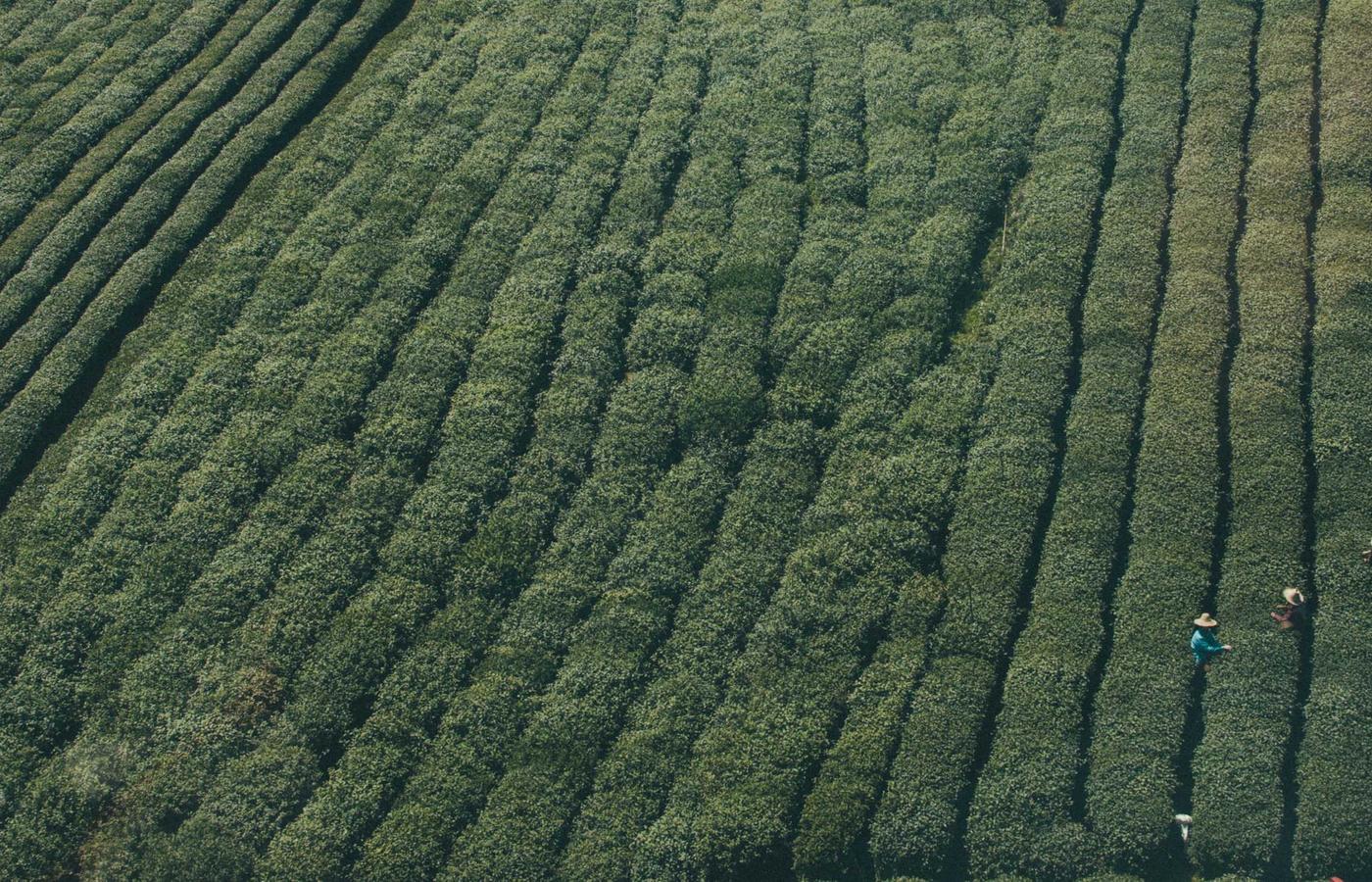 Tehnician verificând un sistem solar