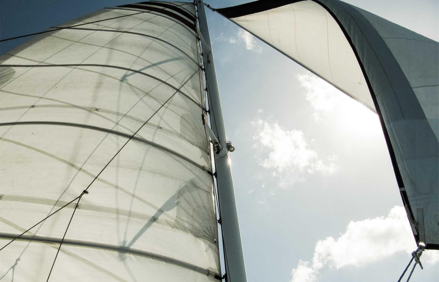 Portretul Directorului General